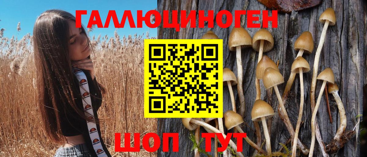 Галлюциногенные грибы GOLDEN TEACHER Учалы